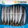 Poissons de mer meilleurs fruits de mer avec des poissons de maquereau fraîchement congelés / maquereau pacifique